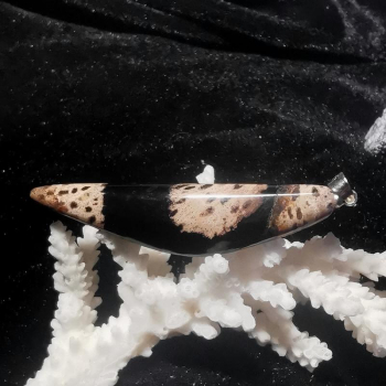 Petrified Palmwood Anhänger